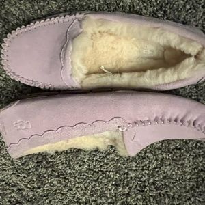 Brand new out of box lavender Uggs